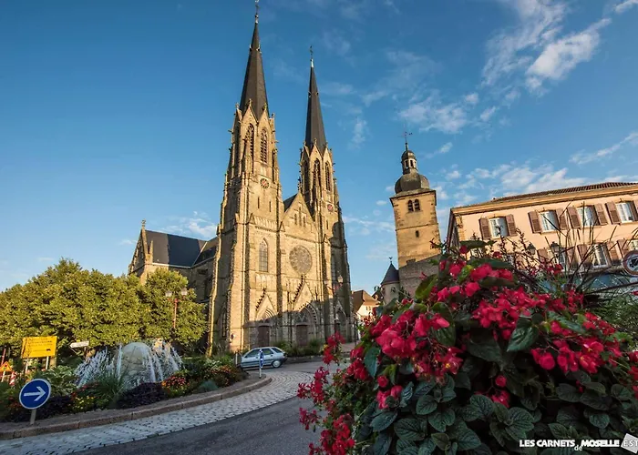 D Au Pays Des Cigognes